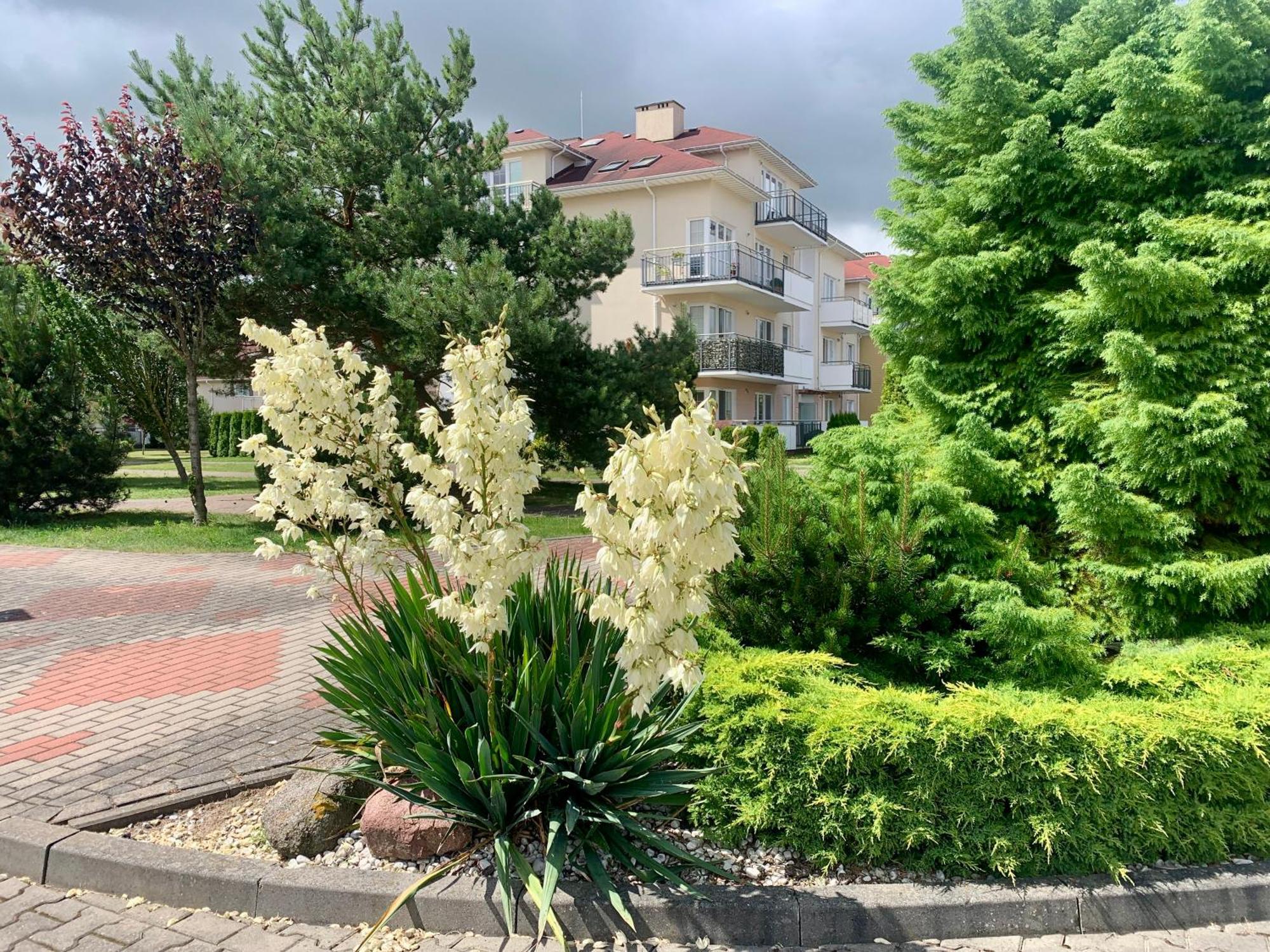 Baltic Apartament Studio Z Ogrodkiem Grzybowo Kolobrzeg מראה חיצוני תמונה
